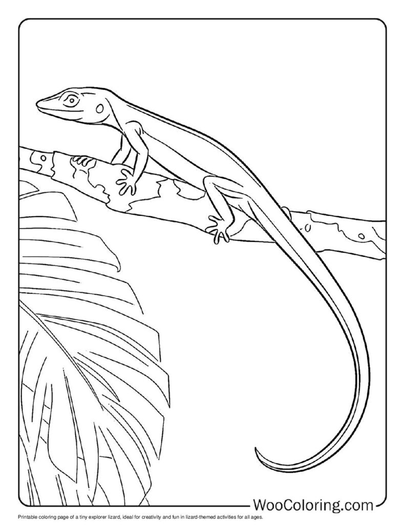 100  Lizard coloring pages  Free PDF To Print  - 15
