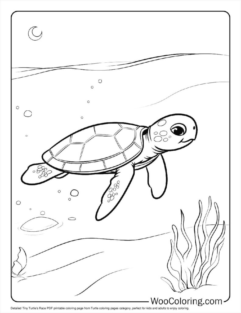 100  Turtle coloring pages  Free PDF To Print  - 24