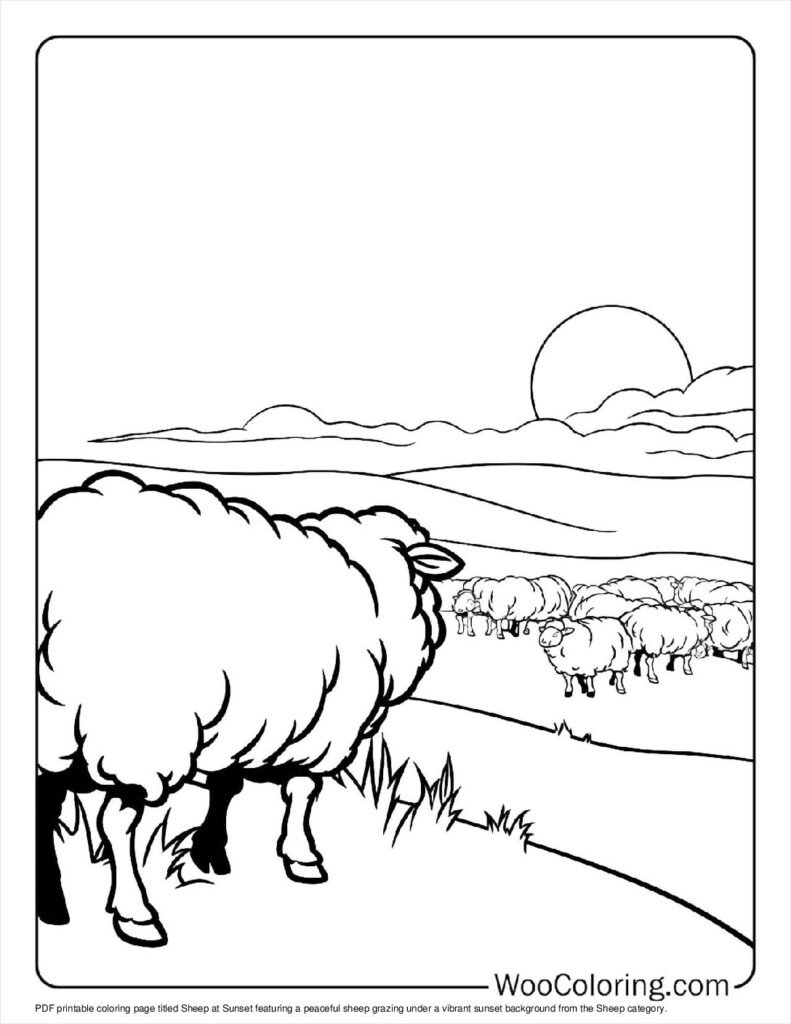 Title Sheep at Sunset