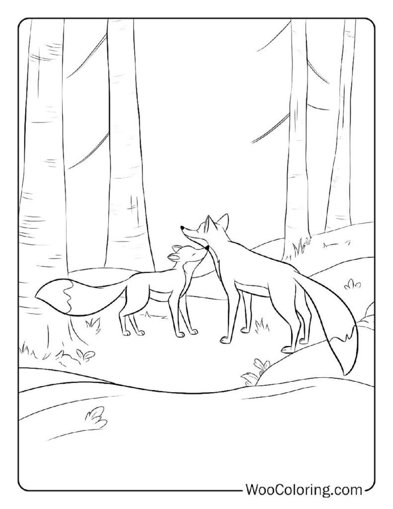 Tod's New Beginning