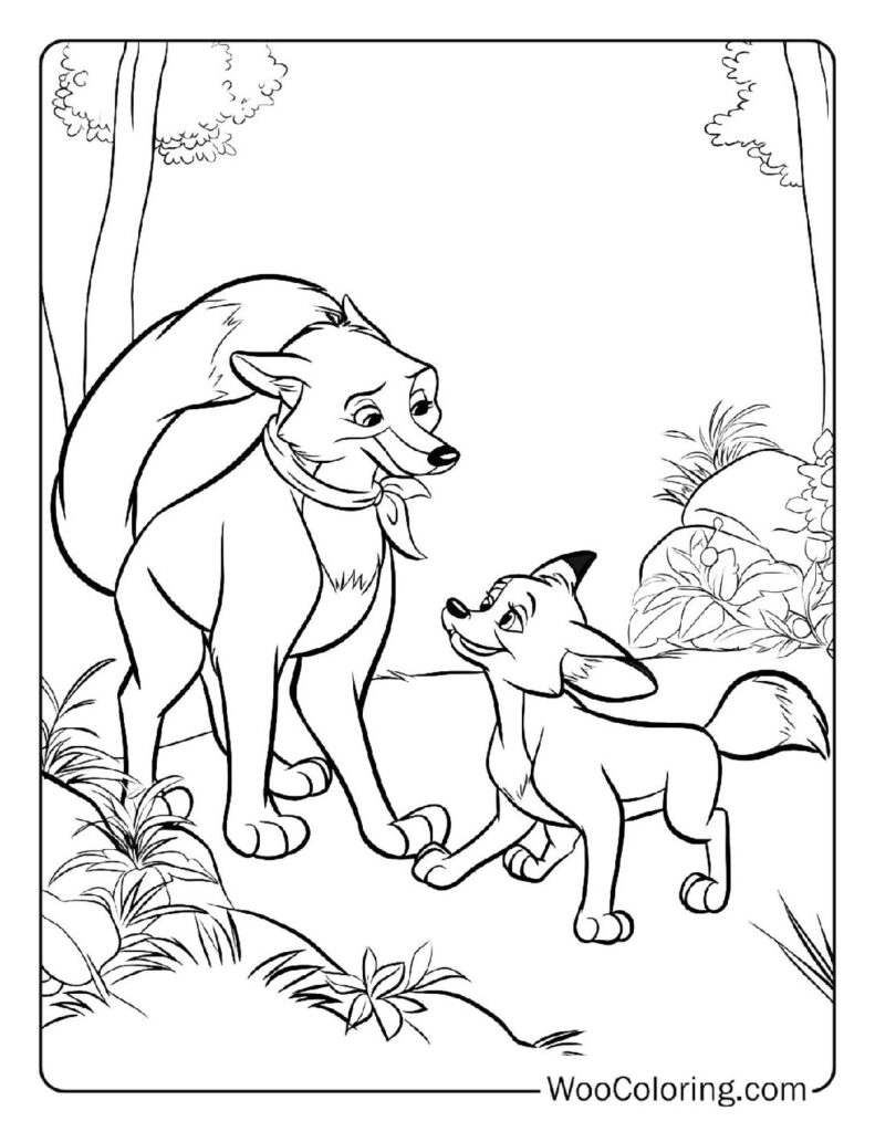 Tod's Release to the Wild For Kids