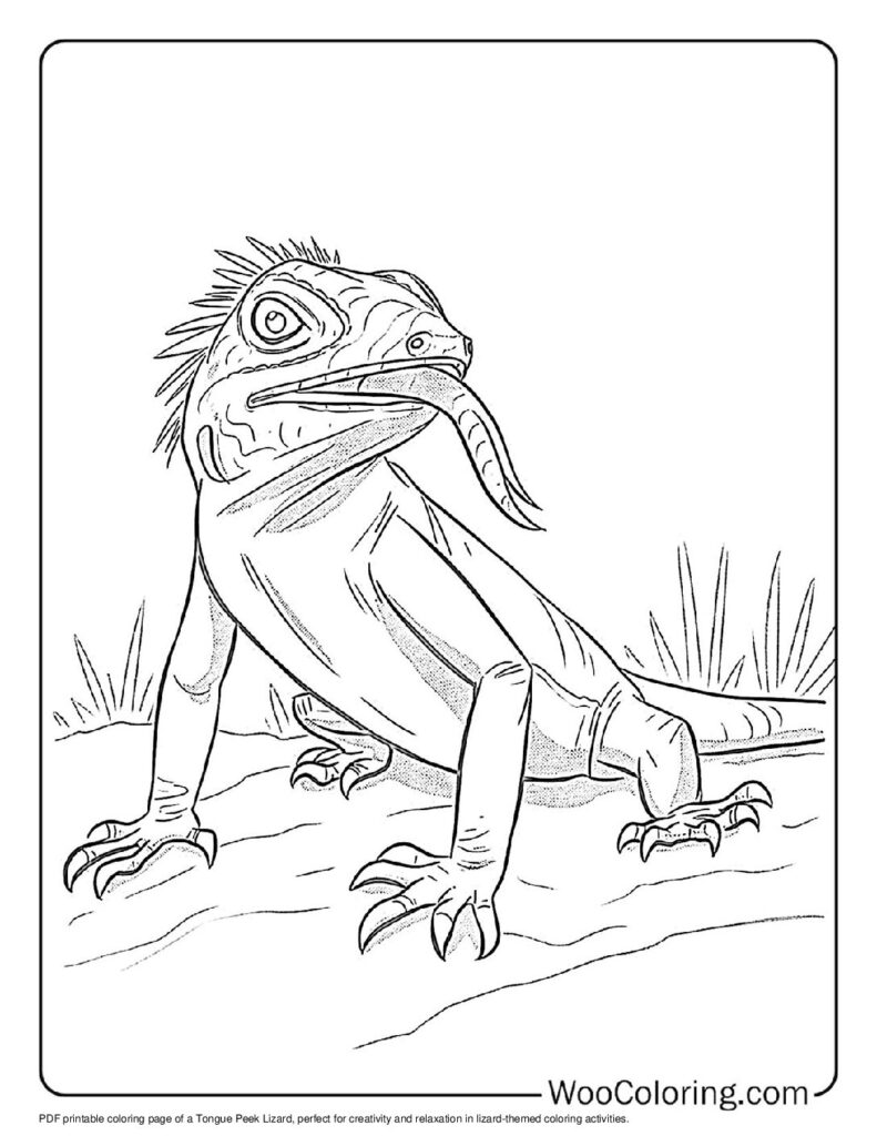 100  Lizard coloring pages  Free PDF To Print  - 44