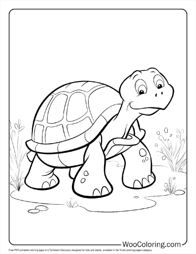 100  Turtle coloring pages  Free PDF To Print  - 12