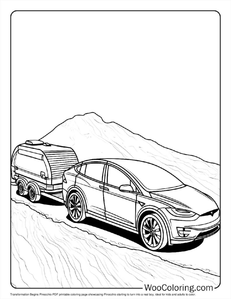 Trailer and Tesla