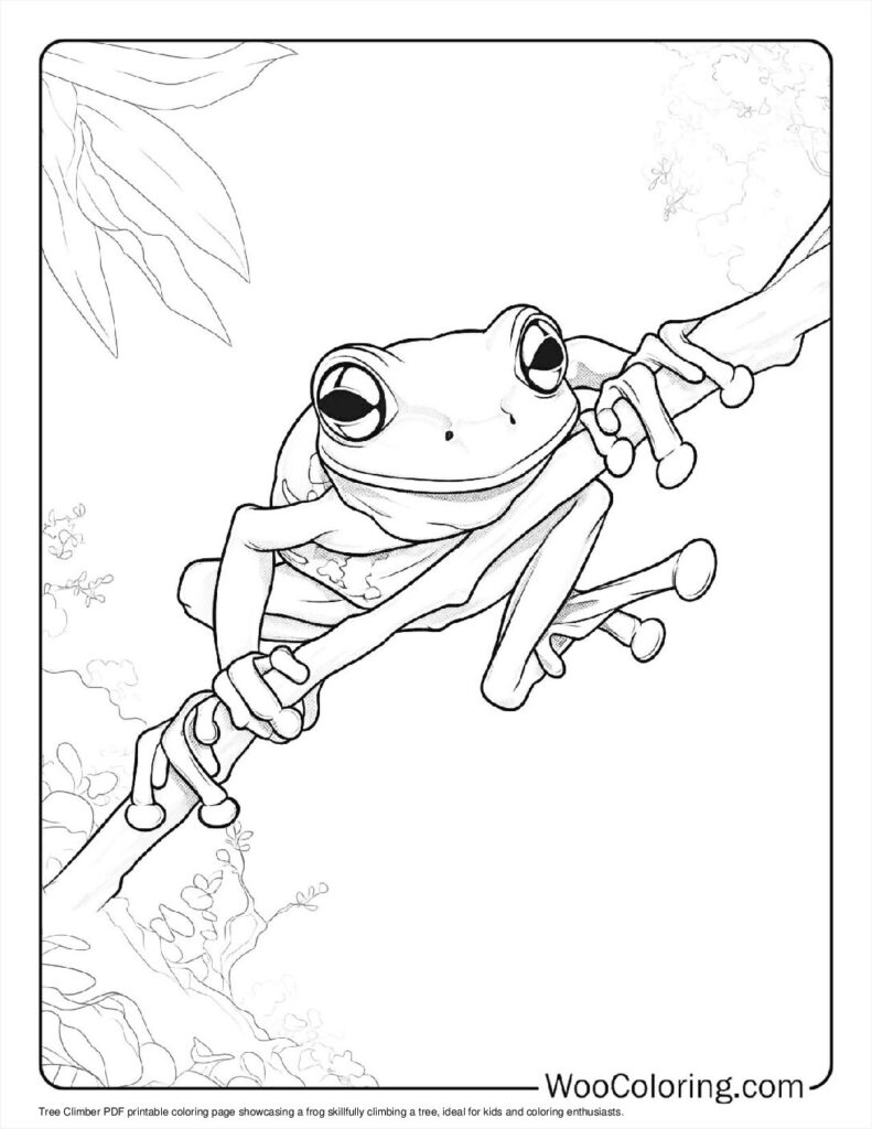 100  Frog coloring pages  Free PDF To Print  - 38