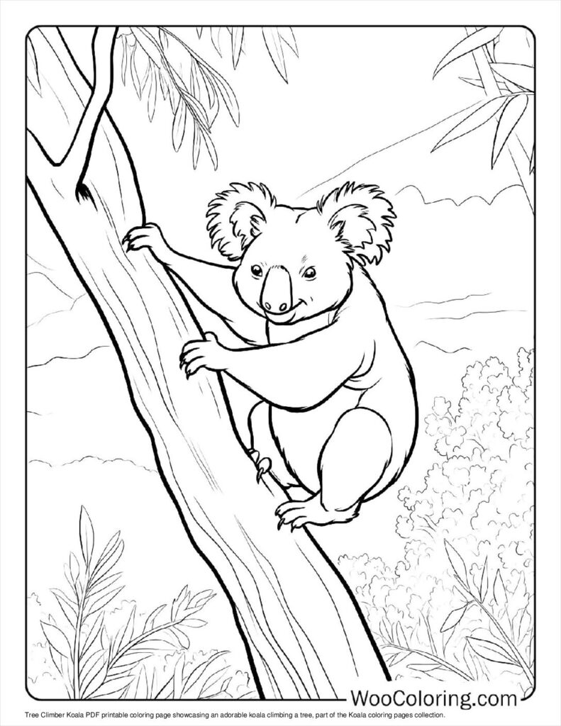 100  Koala coloring pages  Free PDF To Print  - 15