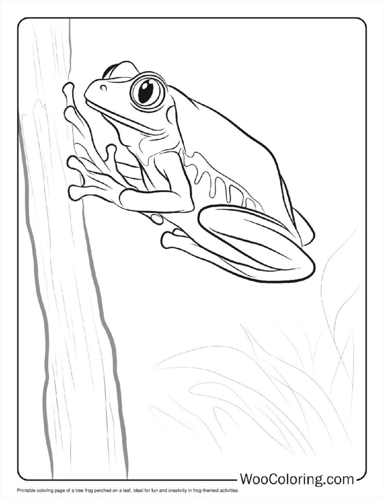 100  Frog coloring pages  Free PDF To Print  - 36