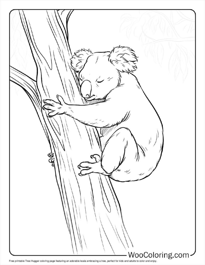 100  Koala coloring pages  Free PDF To Print  - 58