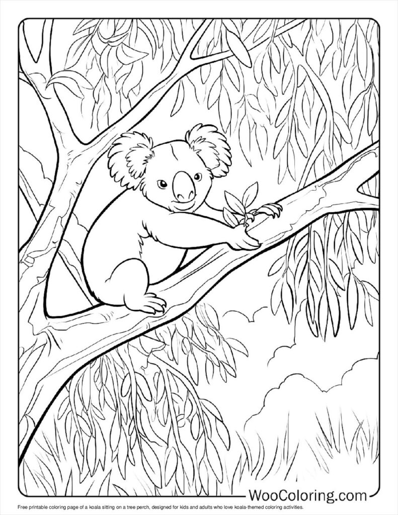 100  Koala coloring pages  Free PDF To Print  - 25