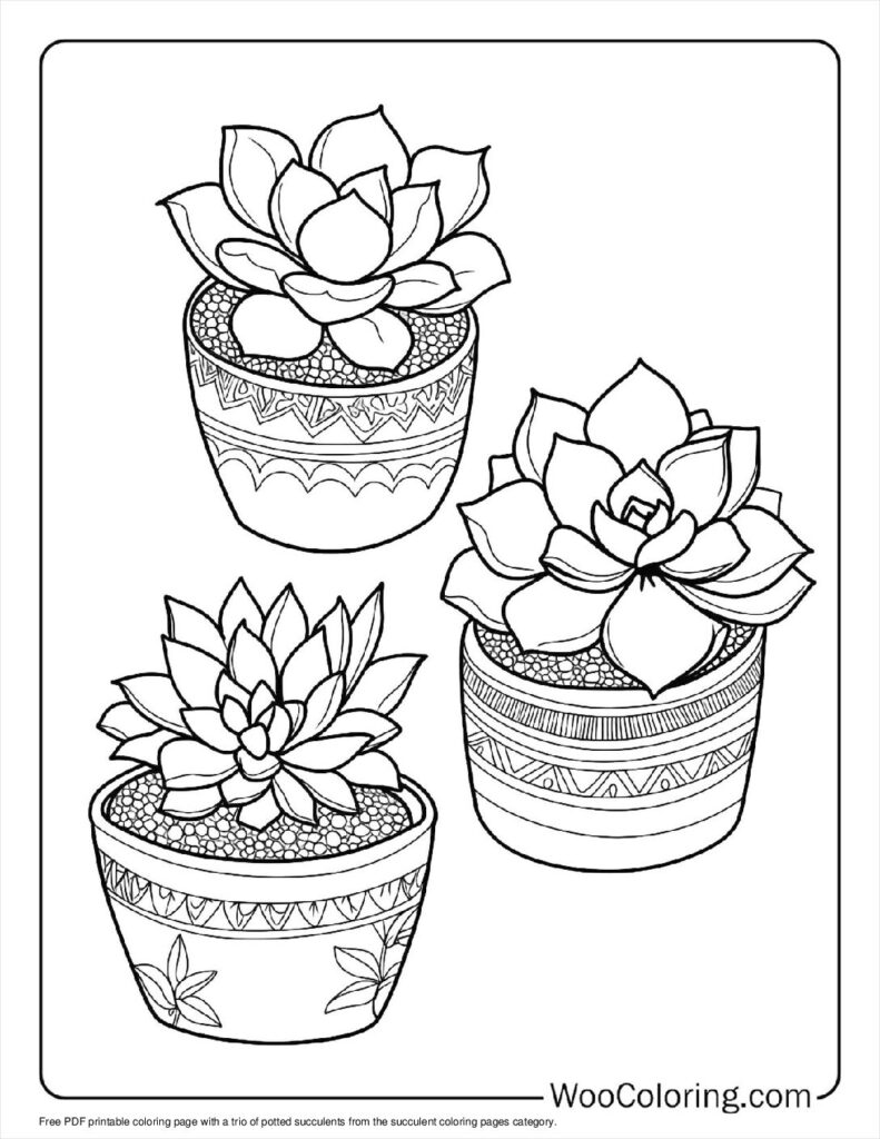 100  Succulent coloring pages  Free PDF To Print  - 53