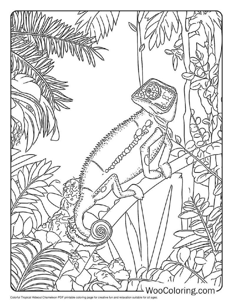 100  Chameleon coloring pages  Free PDF To Print  - 27