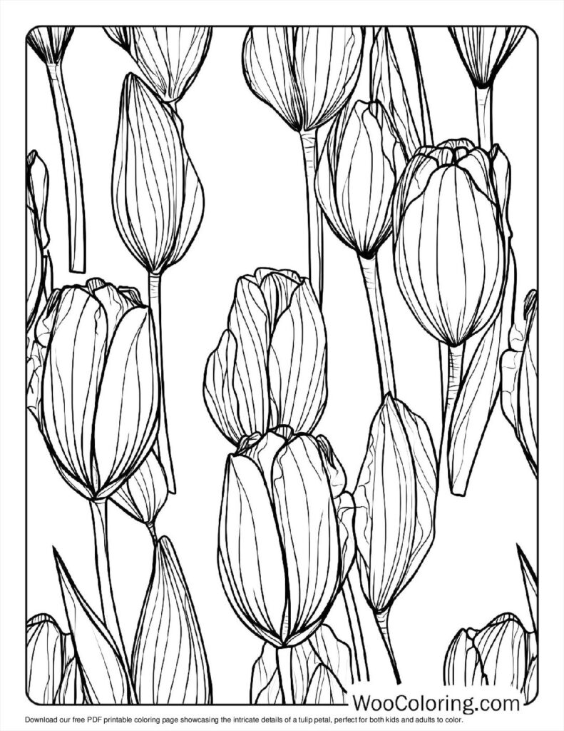100  Tulip coloring pages  Free PDF To Print  - 12