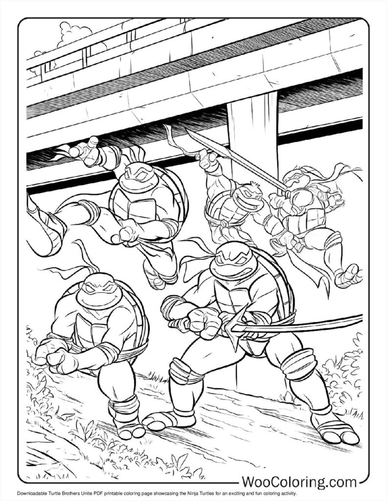 Turtle Brothers Unite