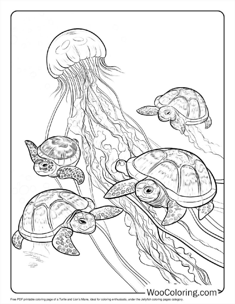 100  Jellyfish coloring pages  Free PDF To Print  - 24