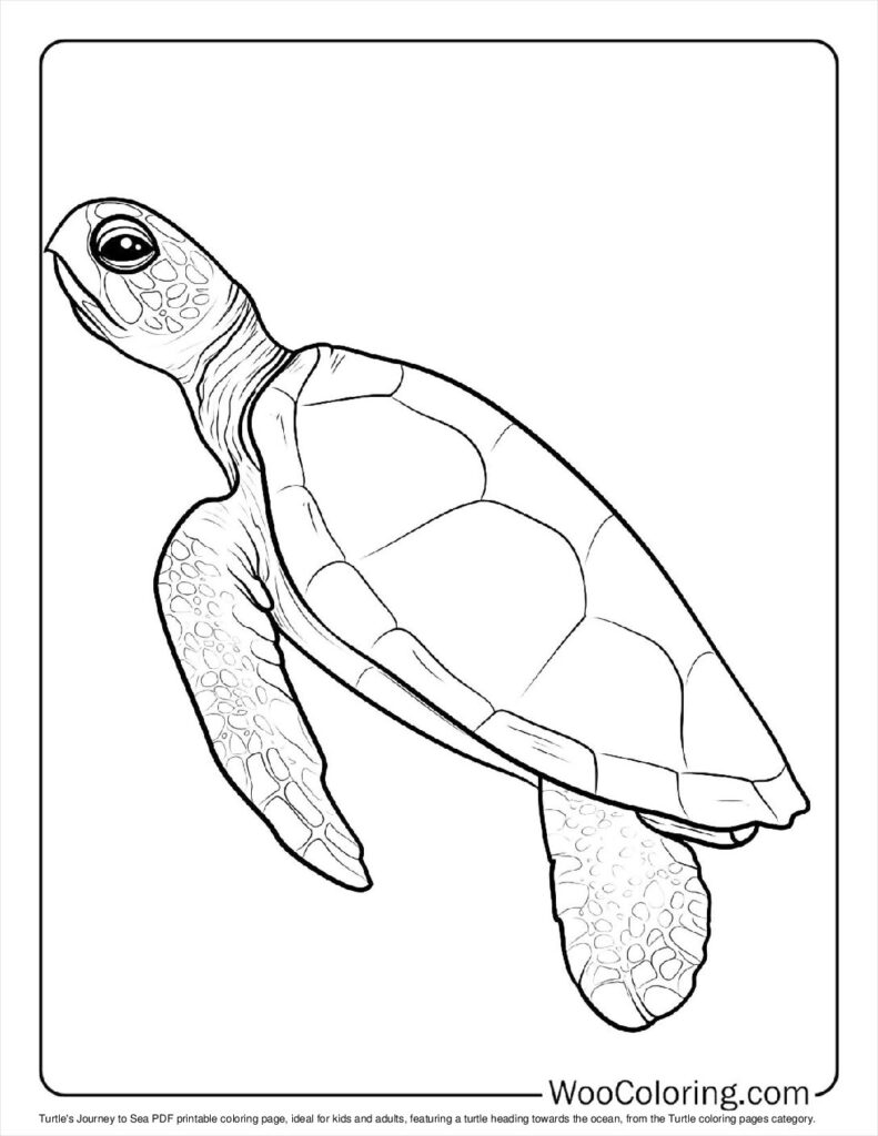 100  Turtle coloring pages  Free PDF To Print  - 65