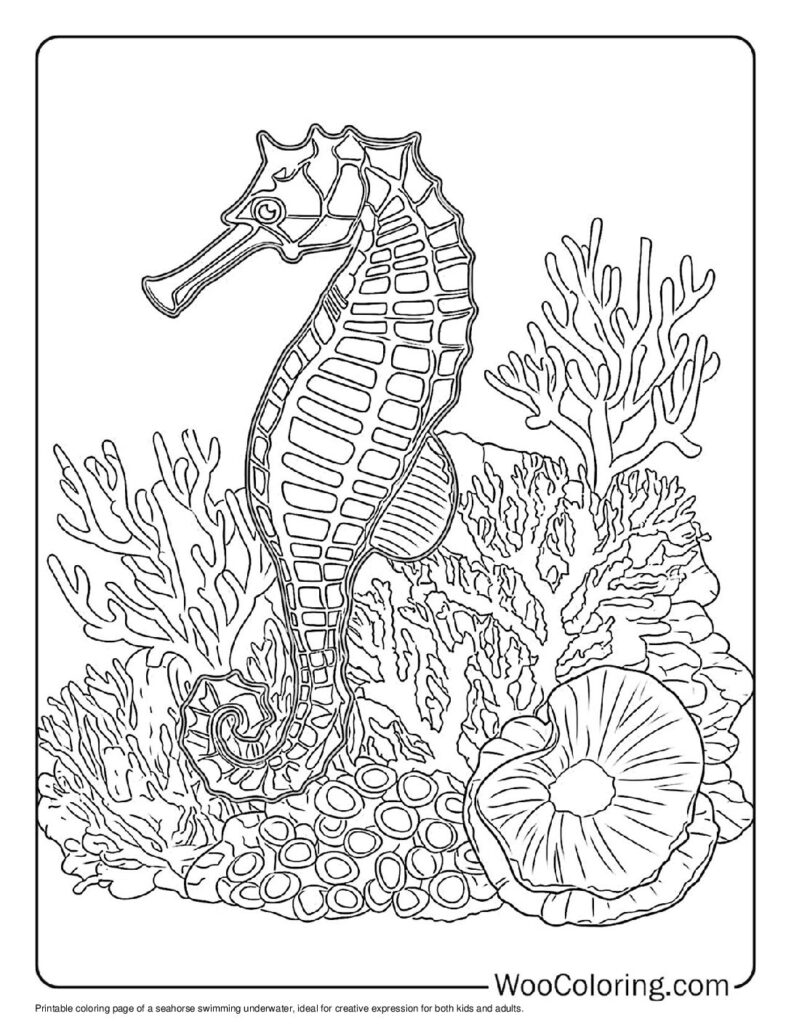 100  Seahorse coloring pages  Free PDF To Print  - 51