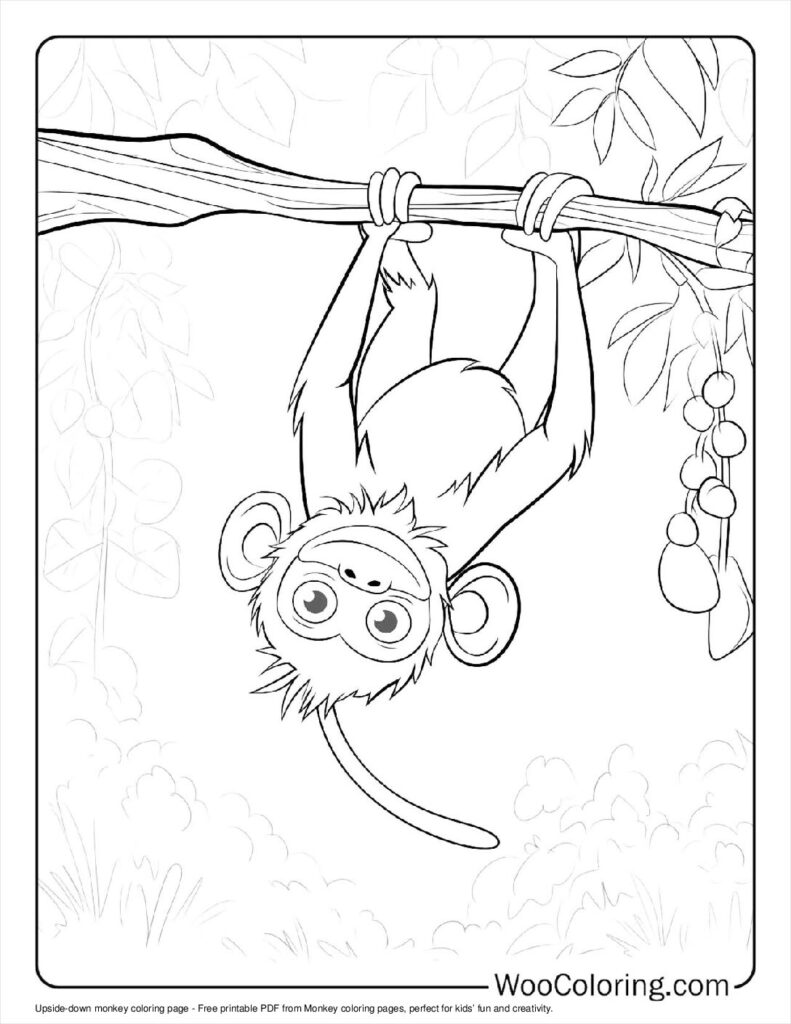100  Monkey coloring pages  Free PDF To Print  - 39