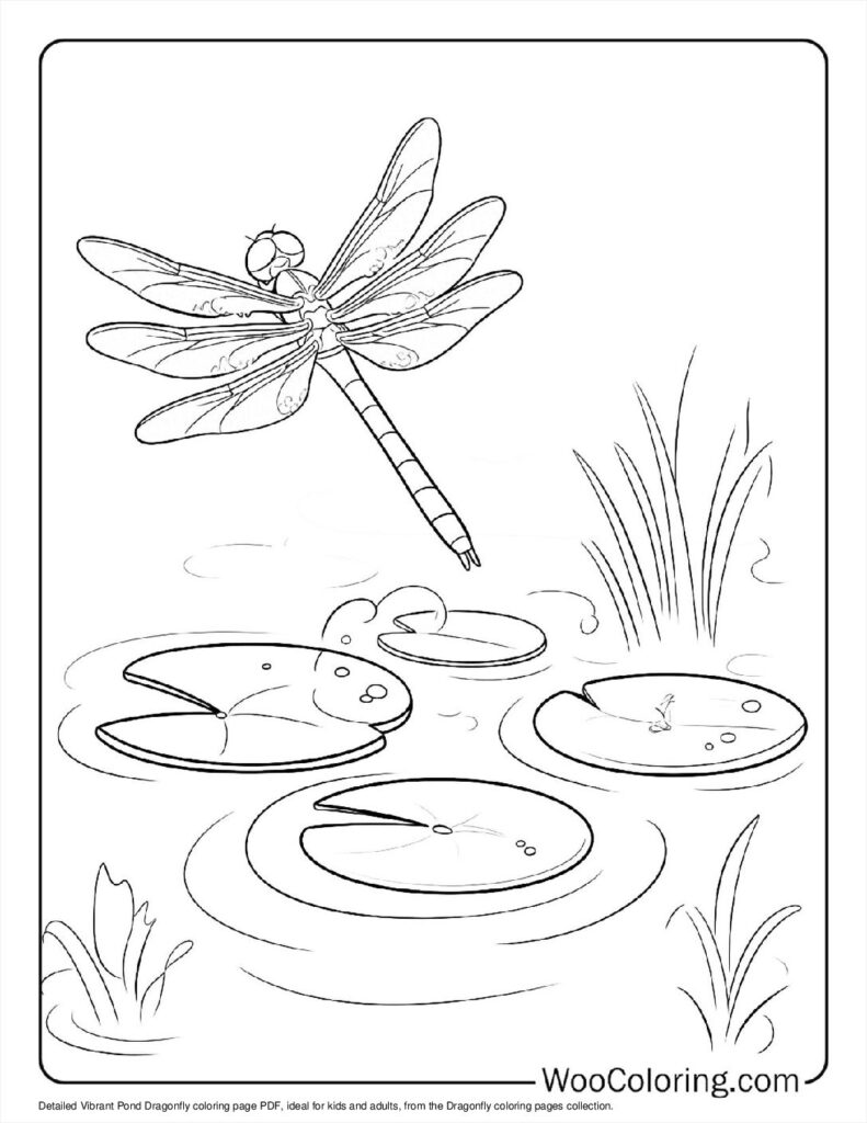 100  Dragonfly coloring pages  Free PDF To Print  - 97