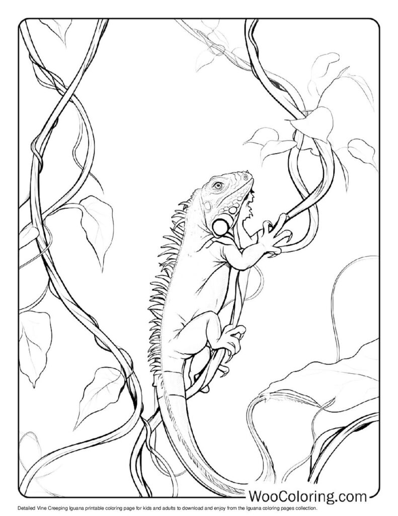 100 Iguana coloring pages Free PDF To Print - 75