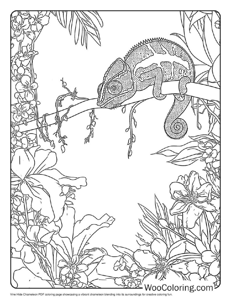 100  Chameleon coloring pages  Free PDF To Print  - 3