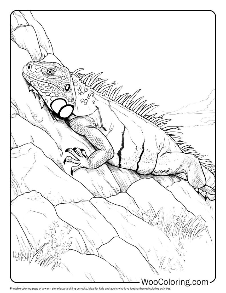 100 Iguana coloring pages Free PDF To Print - 79