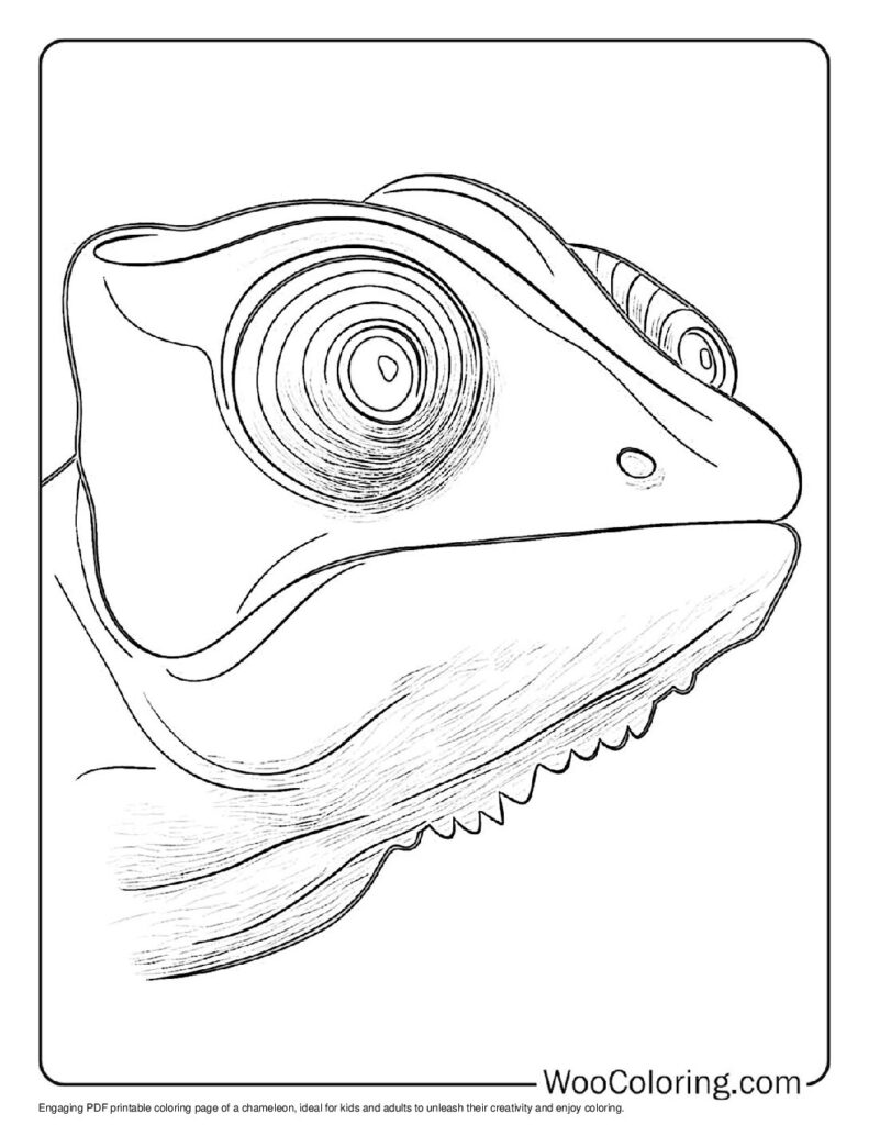 100  Chameleon coloring pages  Free PDF To Print  - 83