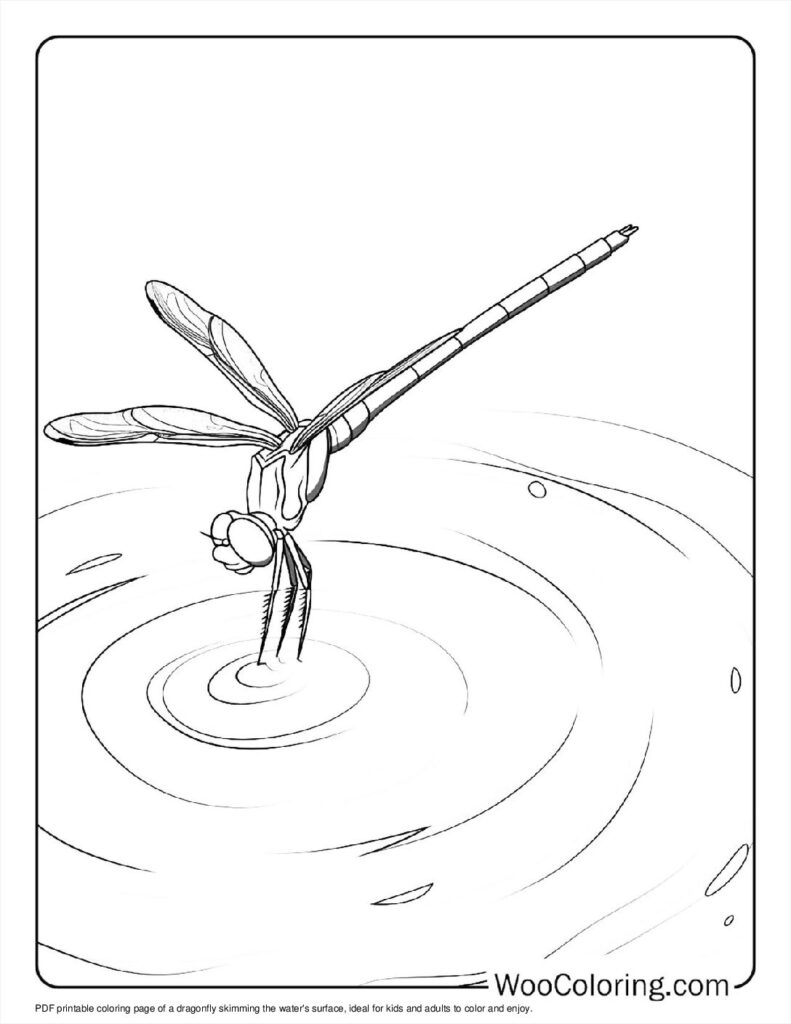 100  Dragonfly coloring pages  Free PDF To Print  - 74
