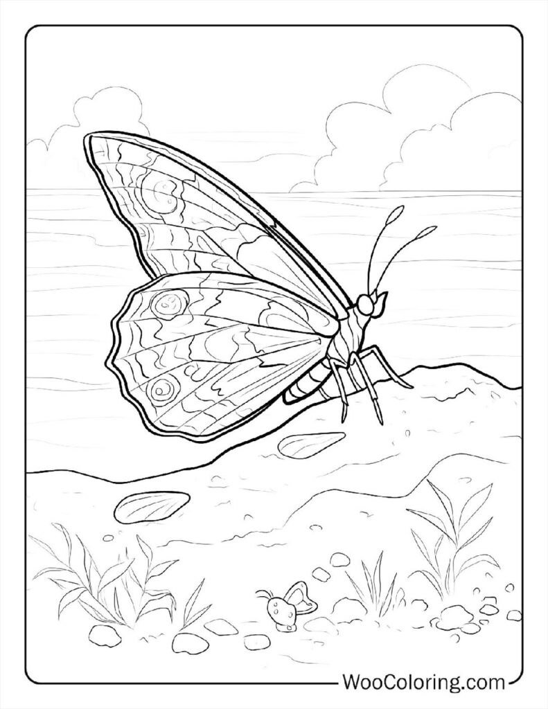 100  Butterfly coloring pages  Free PDF To Print  - 79