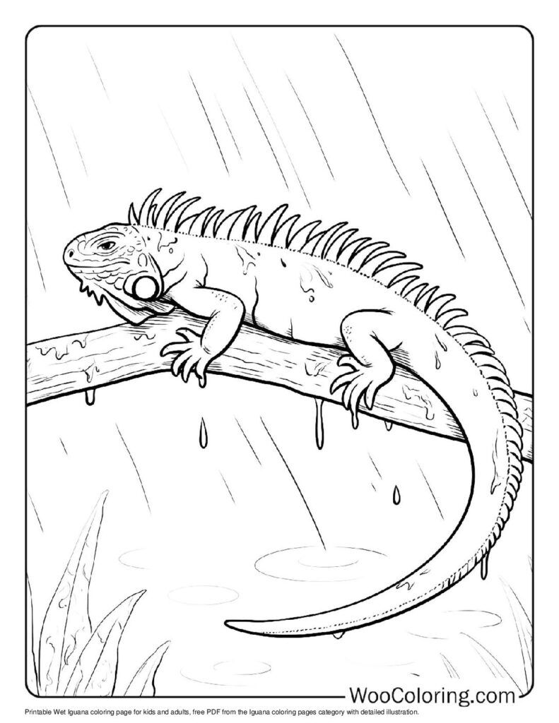 100 Iguana coloring pages Free PDF To Print - 84