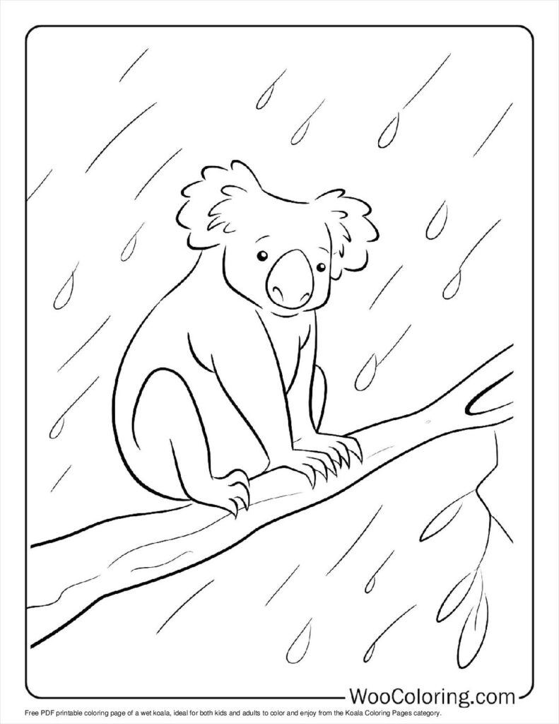 100  Koala coloring pages  Free PDF To Print  - 13
