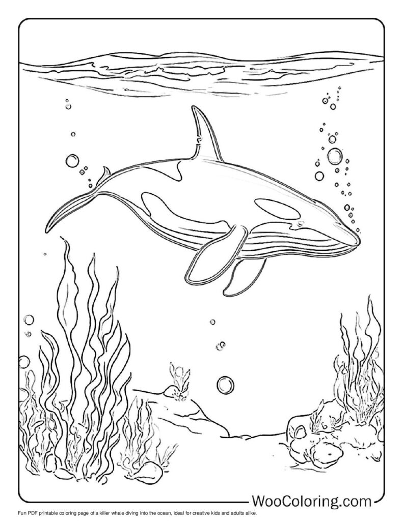 100  Killer Whale coloring pages  Free PDF To Print  - 17