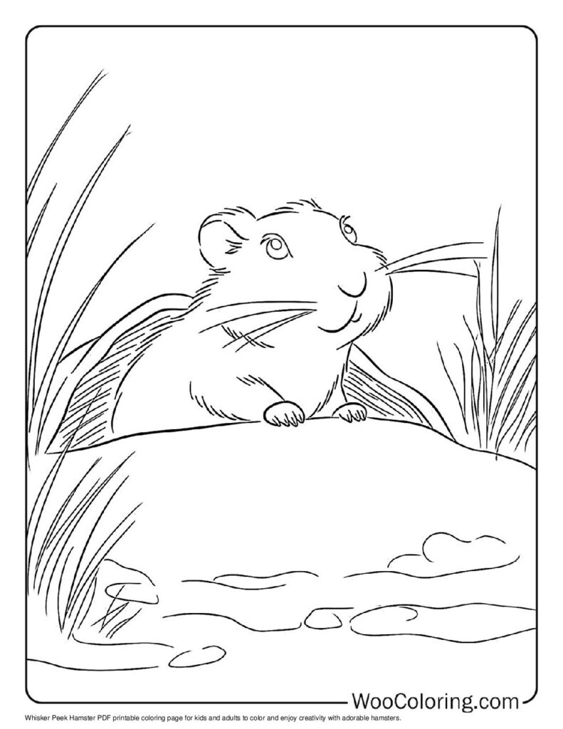 100  Hamster coloring pages  Free PDF To Print  - 68