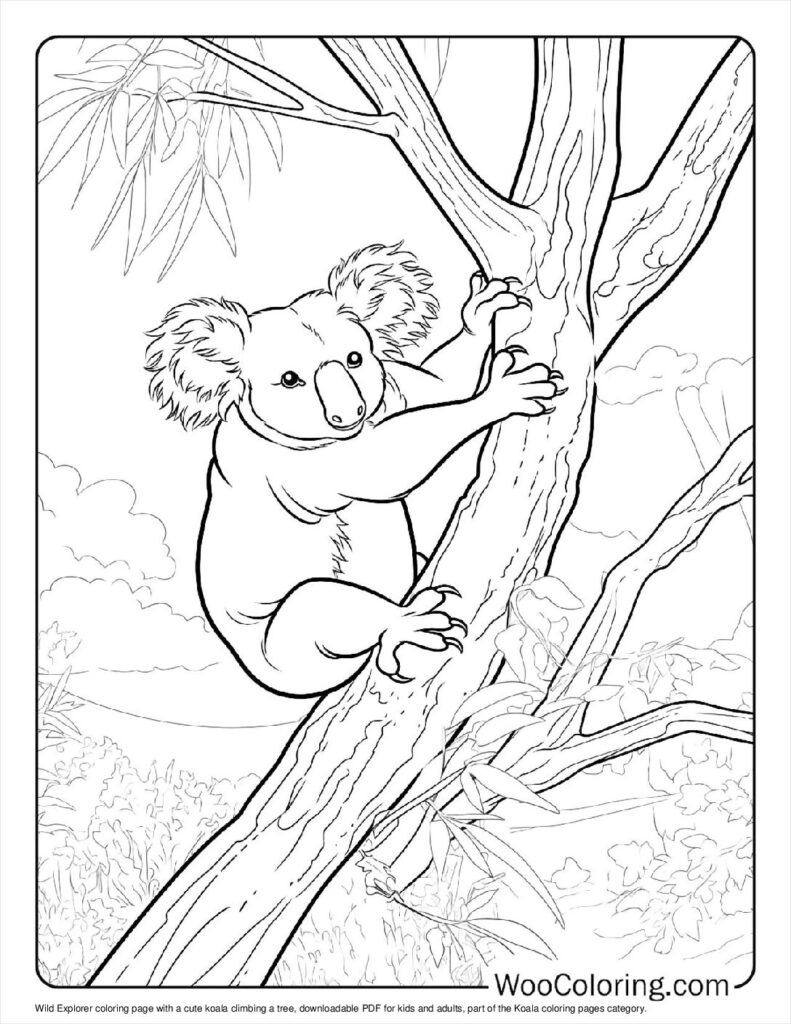 100  Koala coloring pages  Free PDF To Print  - 75