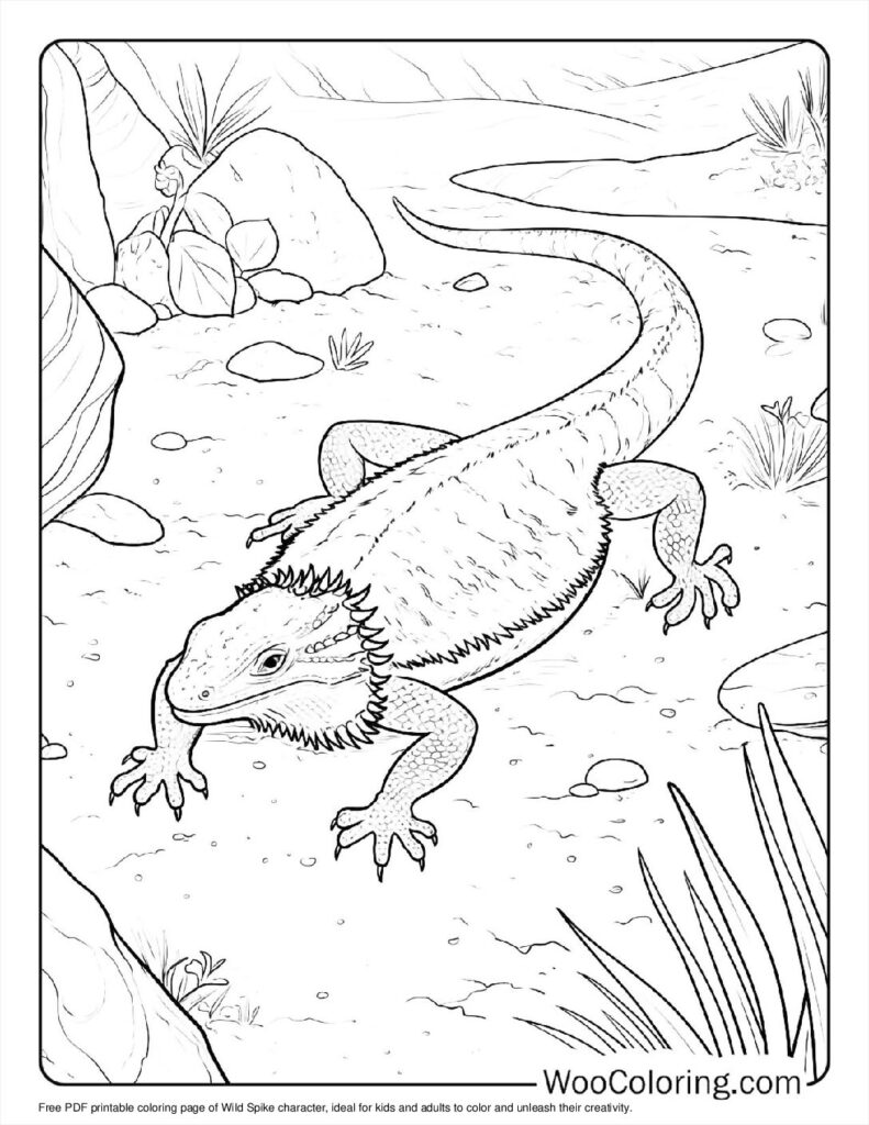 Wild Spike For Kids