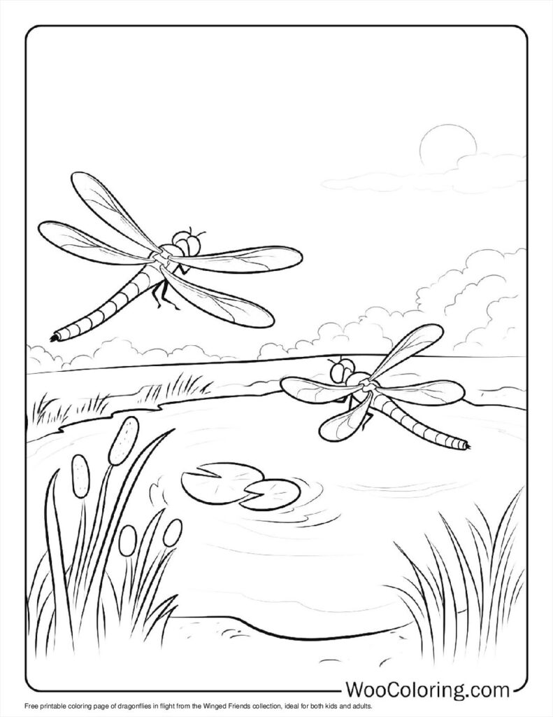 100  Dragonfly coloring pages  Free PDF To Print  - 23