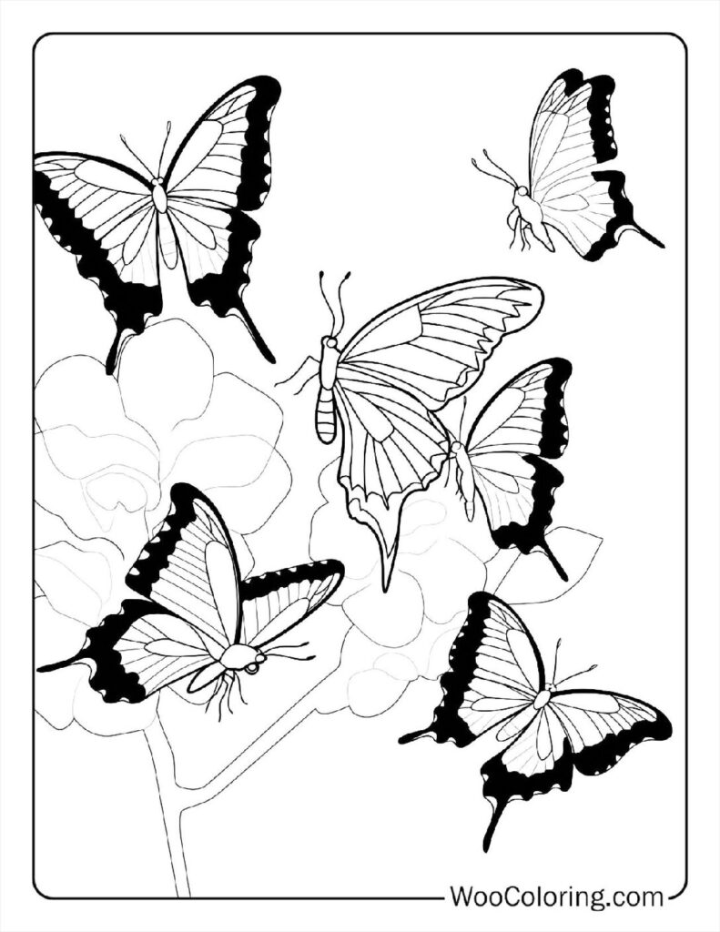 100  Butterfly coloring pages  Free PDF To Print  - 42