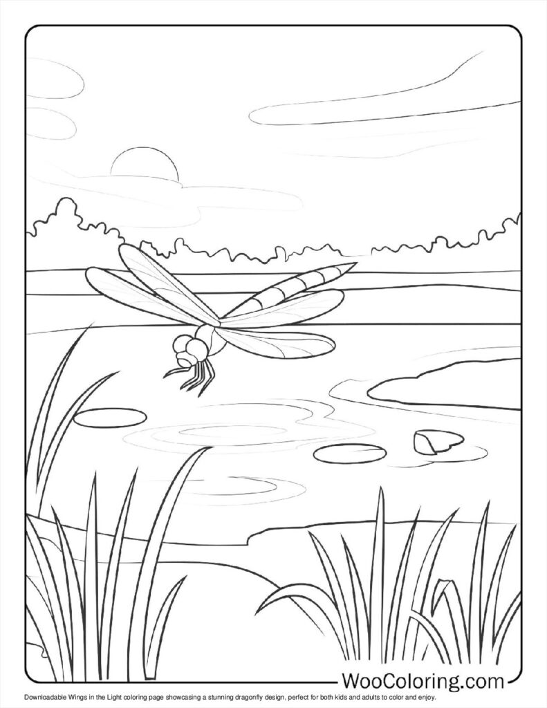 100  Dragonfly coloring pages  Free PDF To Print  - 96