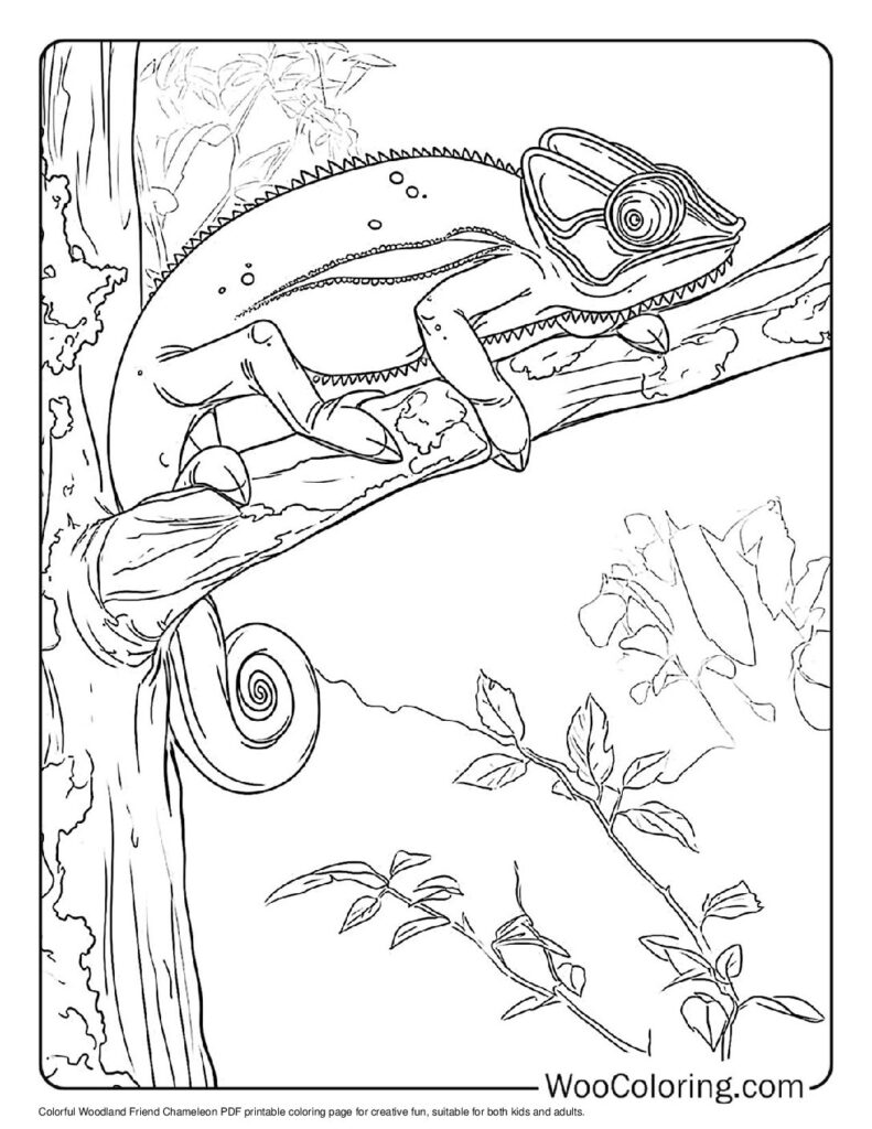 100  Chameleon coloring pages  Free PDF To Print  - 36