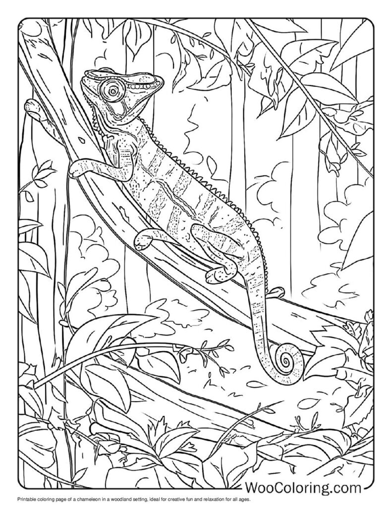 100  Chameleon coloring pages  Free PDF To Print  - 75