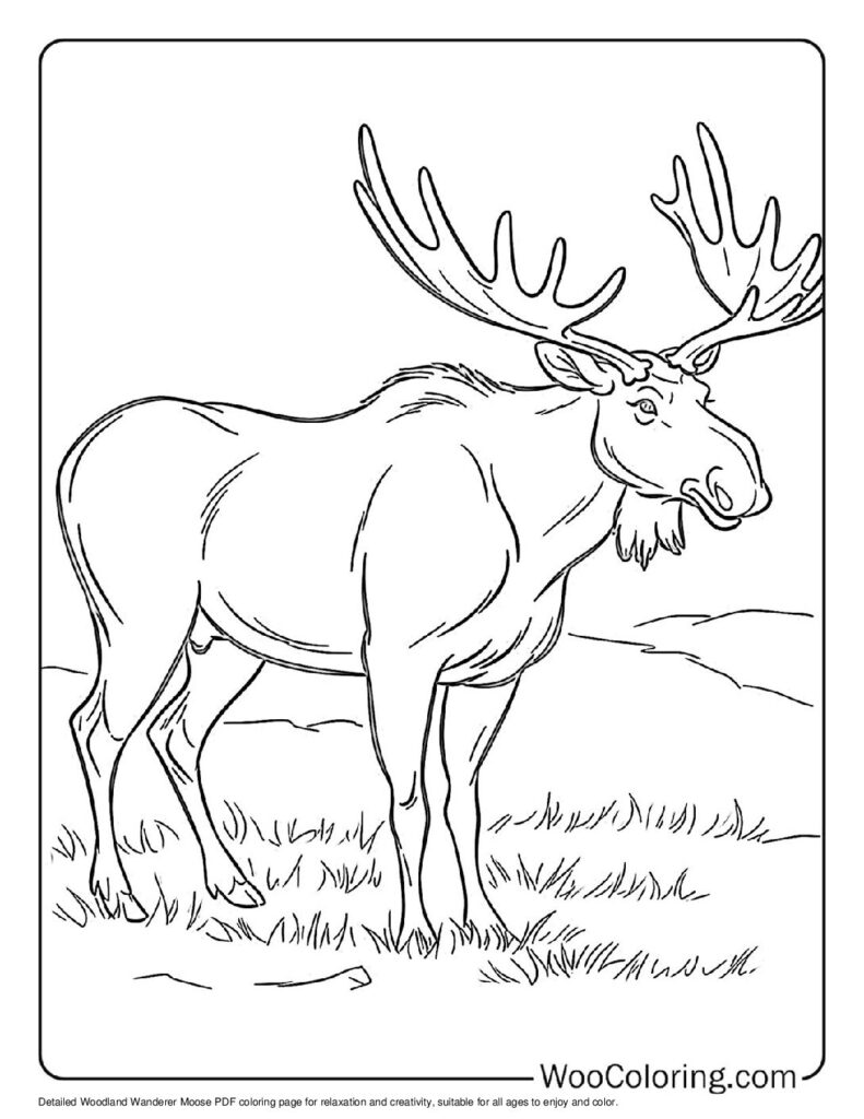 100  Moose coloring pages  Free PDF To Print  - 63