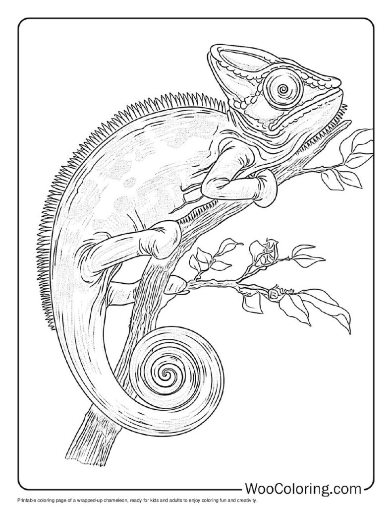 100  Chameleon coloring pages  Free PDF To Print  - 55
