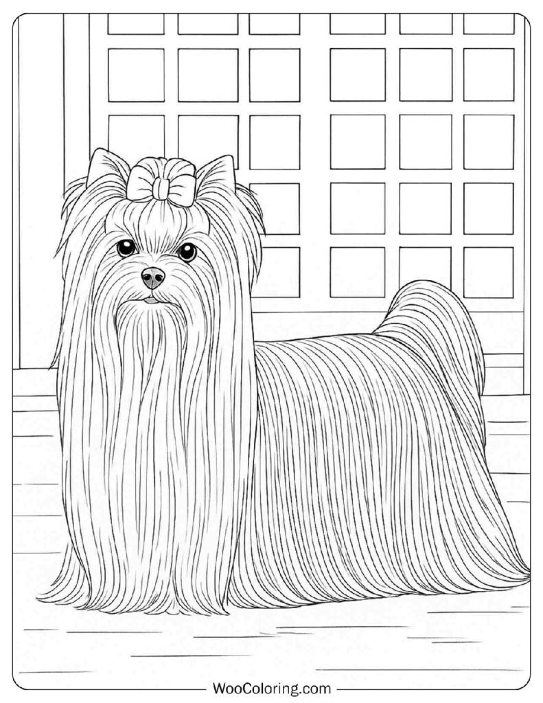 Elegant Yorkshire Terrier with Long Silky Hair and a Decorative Bow Coloring Sheet