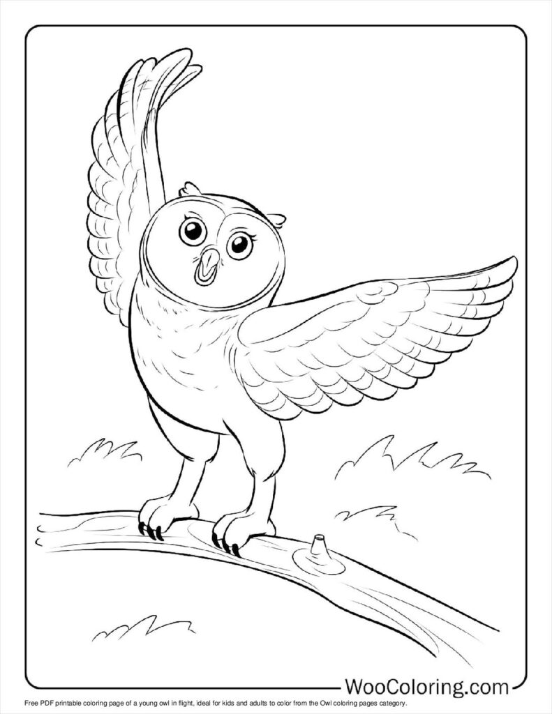 100  Owl coloring pages  Free PDF To Print  - 74